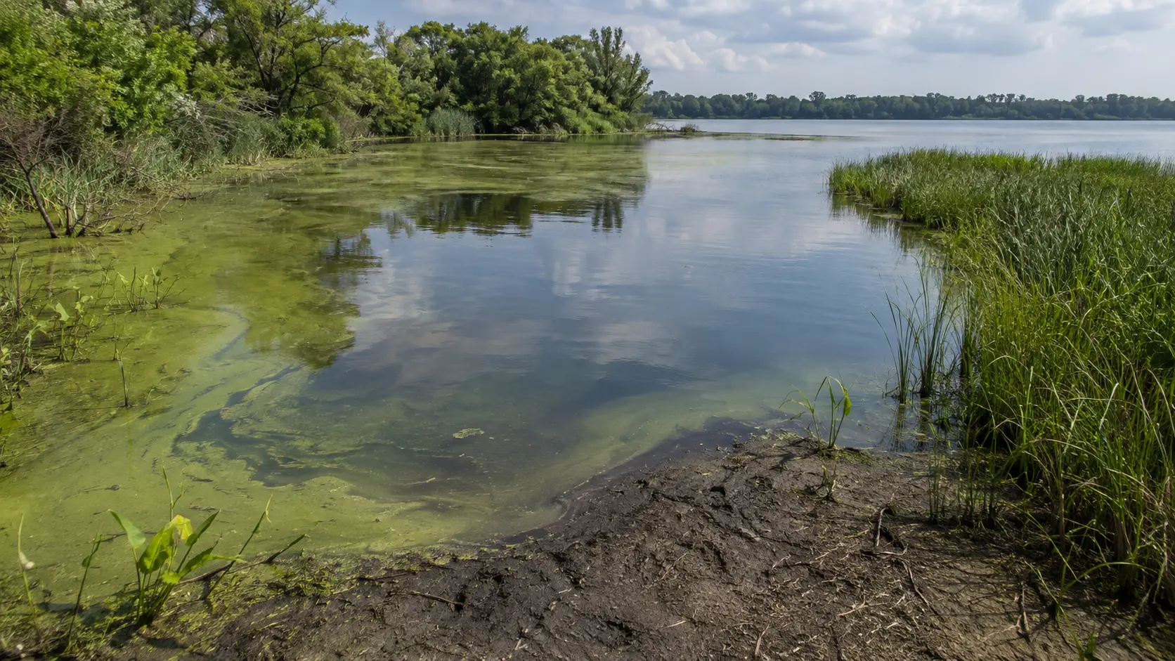 Water-quality monitoring in California showing coverage challenges